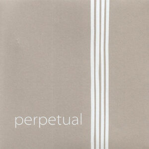 A light grey background with five vertical white lines grouped together on the right side and the word "perpetual" in lowercase white letters on the lower left.
