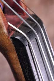 Close-up view of three metal strings and part of the wooden neck and fingerboard of a string instrument, possibly a double bass or cello.